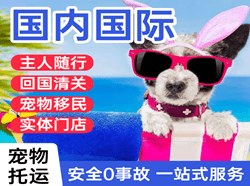 江北航空运输国际宠物托运 【国